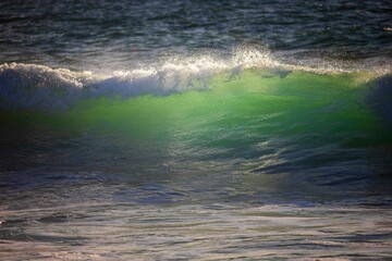 Fototapete - Olas