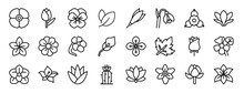 Set Of 24 Outline Web Flower Icons Such As Poppy, Tulip, Pansy, Leaf, Exotic, Snowdrop, Bougainvillea Vector Icons For Report, Presentation, Diagram, Web Design, Mobile App