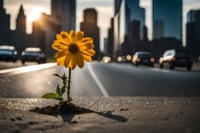 Close-up Photo Of A Flower Growing Out Of A Road On A Highway