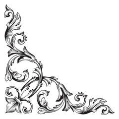 border and frame with baroque style. ornament elements for your design. black and white color. flora