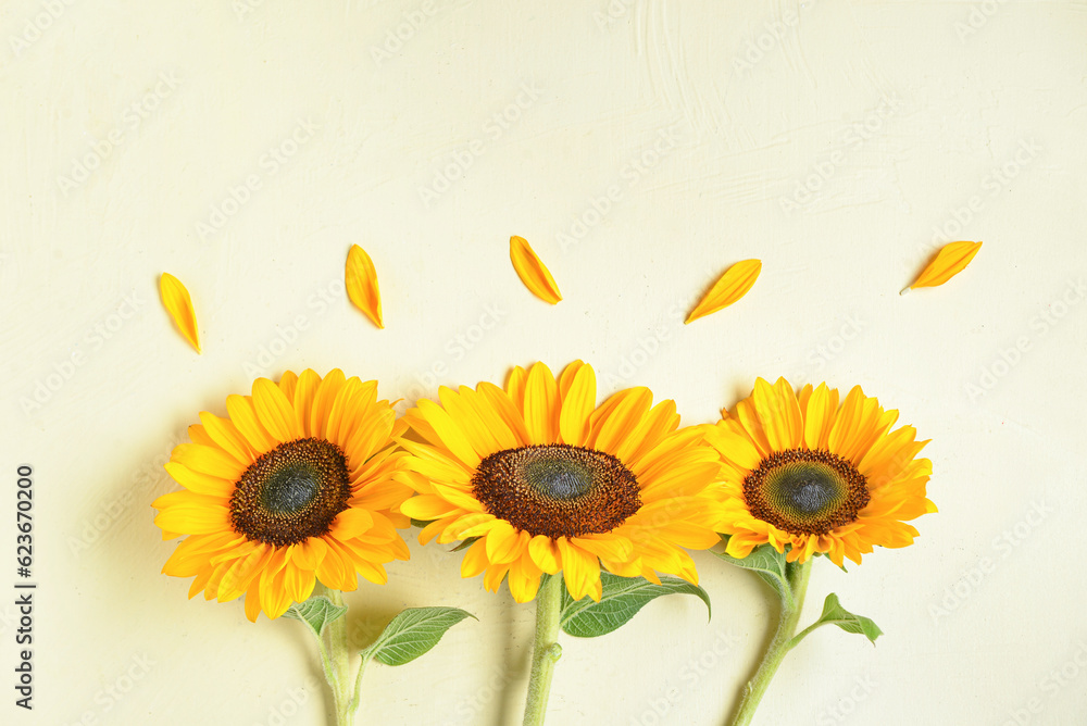 Beautiful sunflowers and petals on light background