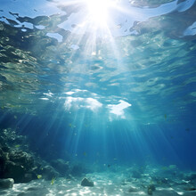 Abstract Underwater Background, Marine, Coastal, World, Fish, Sunny, Travel, Beach, Landscape 