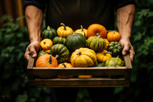 Hands Holding A Crate With Harvested Pumpkins