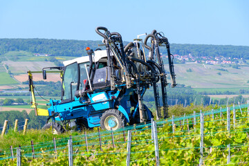 Wall Mural - Tractor sprinkles young shoots of grapes on premier cru champagne vineyards in village Hautvillers near Epernay, Champange, France