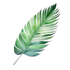 Poster - Palm leaf watercolor