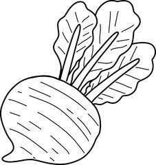 Sticker - hand drawn beetroot