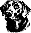 Black and white illustration of a labrador.