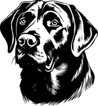 Black And White Illustration Of A Labrador.