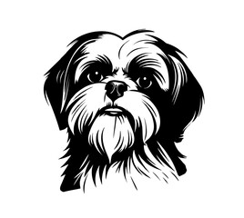 Wall Mural - vector isolated one single sitting shih tzu dog head front view black and white bw two colors silhou