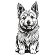 Norwich Terrier dog engraved vector portrait, face cartoon vintage drawing in black and white sketch drawing