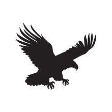 Eagle Silhouette On White Vector