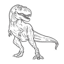 Vector Drawing Dinosaur T Rex. Black On White Background.