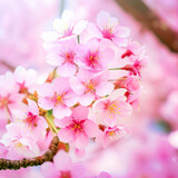 Fototapeta Kwiaty - Beautiful Cherry blossom, pink sakura flower Generative AI 