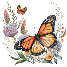 Watercolor Monarch Butterfly With Meadow Wildflowers, Butterflies Graphic Illustration Isolated With A Transparent Background, Insect Design Created With Generative AI.