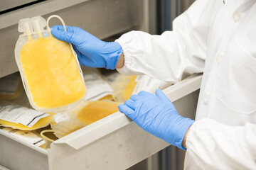 doctor hand wearing blue gloves holding fresh frozen plasma bag in storage blood refrigerator at blo
