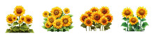 Sunflower Field Clipart Collection, Vector, Icons Isolated On Transparent Background