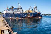 Industrial Fishery: Factory Fishing Vessel Idle At Dock In Ballard Seatle Washington In Summer.