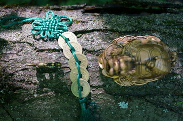 Wall Mural - Dragon turtle figurine close-up. Feng shui objects on the background of the forest.