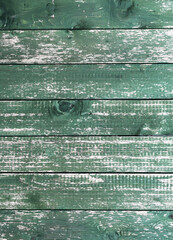 Sticker - Wooden green planks