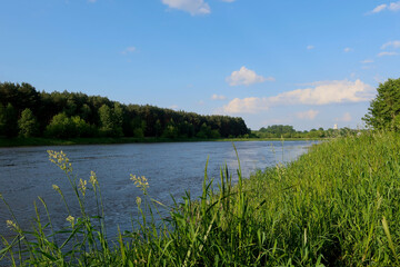 Wall Mural - A beautiful view of the peaceful Narew river. Sunny day at the river Narew in polish countryside. River in western Belarus and north-eastern Poland, is a right tributary of the Vistula River. 