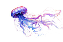 Floating Jellyfish Swirling Mysteriously Around, Abstract Shape Isolated On A Transparent Background, Generative Ai
