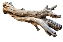 Driftwood. Isolated Object, Transparent Background