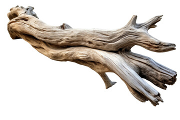 Driftwood. isolated object, transparent background