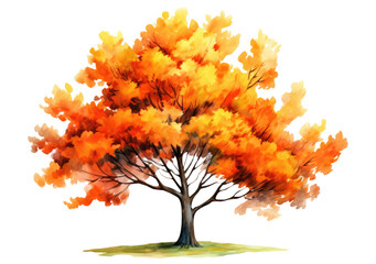 Wall Mural - Watercolor illustration of an autumn tree with yellow foliage isolated on transparent background, Generative AI