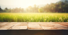 Empty Wooden Table Top In Front Of Abstract Blurred Rice Field, Rural Plantation Of Green Rice Shoots