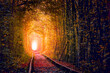 Old Autumn Trees Tunnel with old railway - Tunnel of Love. Natural tunnel of love formed by trees.