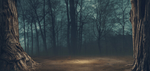 Scary dark forest with fog