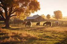 Beautiful Chestnut Horses At The Farm At Sunset