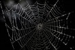 © yurakrasil - Spider web on black darkness, halloween background, AI