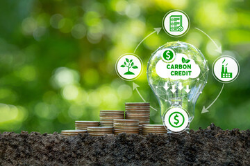 Wall Mural - Carbon credit icons is on a light bulb and stack of coins. Carbon credit concept. Tradable certificate to drive industry and company in the direction of low emissions in efficiency cost.