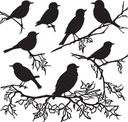 silhouettes set a flock of birds perched on top of a tree branch