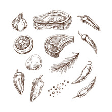 A Set Of Hand-drawn Sketches Of Barbecue Elements. For The Design Of The Menu Of Restaurants And Cafes, Grilled Food. Pieces Of Meat And Vegetables With Seasonings.