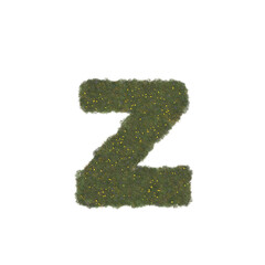 alphabet, letter, grass shape letter,  z