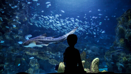 Wall Mural - Silhouette of little curious boy sitting on the bench and looking at fishes and sharks swimming in big aquarium