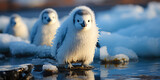 Fototapeta Zwierzęta - Penguin Baby On The Background Of Ice And Snow Created With The Help Of Artificial Intelligence