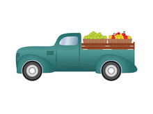 Classic Pickup Truck Car Transporting Fruits, Vector Illustration