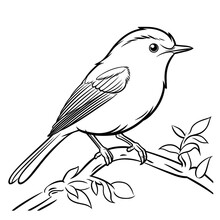Warbler. Coloring Pages Png Animals