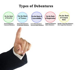 Canvas Print - Presnting Five  Types of Debentures.