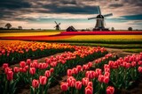 Fototapeta Tulipany - windmill and tulips generated ai