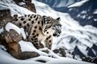 snow leopard in snow generated ai 