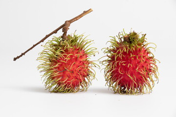 Two rambutan on white background. Rambutan is a fruit with a red peel, white flesh, brown seeds. It has a sweet taste.