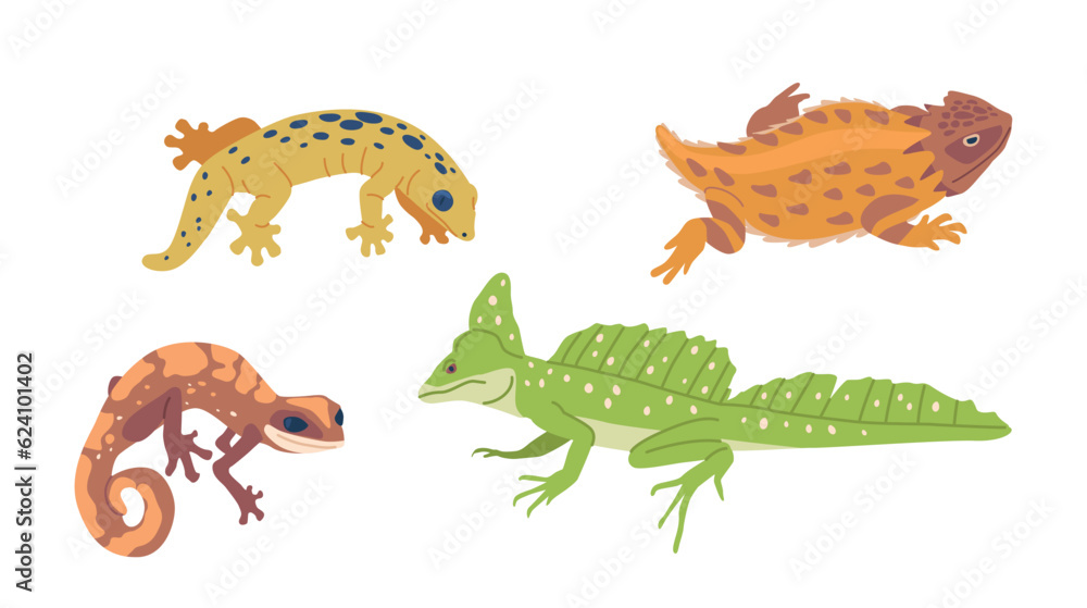 Exotic Lizards And Varans. Fascinating Reptiles Known For Their Vibrant ...