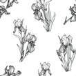 Seamless pattern botanical line flower Iris illustration. Hand drawn irises graphics monochrome black ink sketch for wall art, card, tattoo, logo