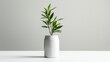 plant in a vase on a white wall