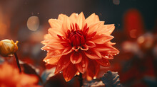Beautiful Flower Close-up Son Unfocused Background.

Generative AI