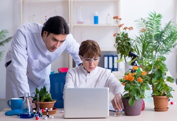 two young botanist working in the lab